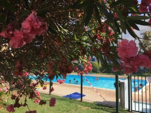 Апартаменты Lesjardinsfleuris Мандельё-ла-Напуль Экстерьер фото